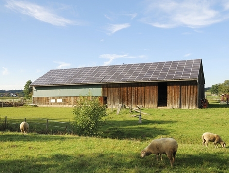 Placer des panneaux photovoltaïques sur son exploitation agricole pour la rendre plus durable